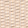 HT0037 var.23